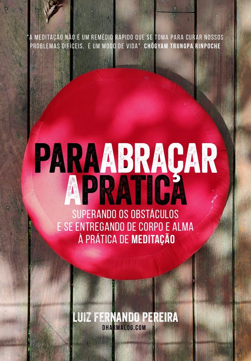 Para Abraçar a Prática - Luiz Fernando Pereira